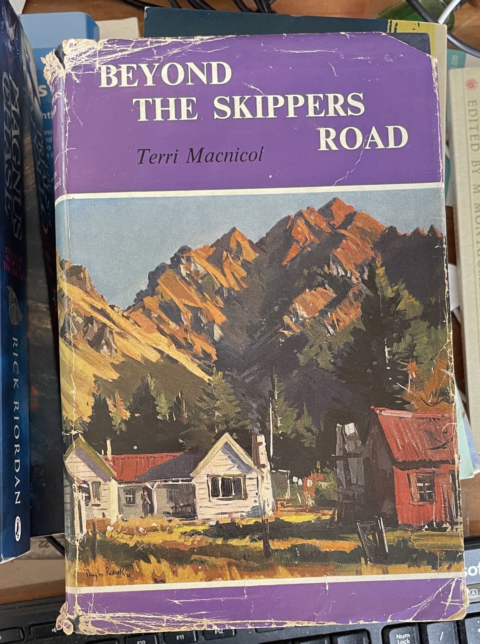 Beyond the Skippers Road by Terri Macnicol