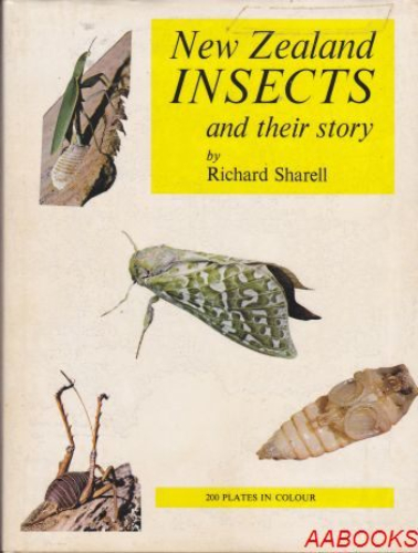 New Zealand Insects and their story