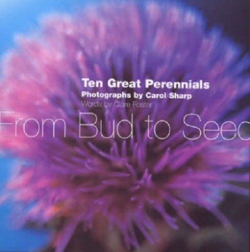 Ten Great Perennials From Bud to Seed