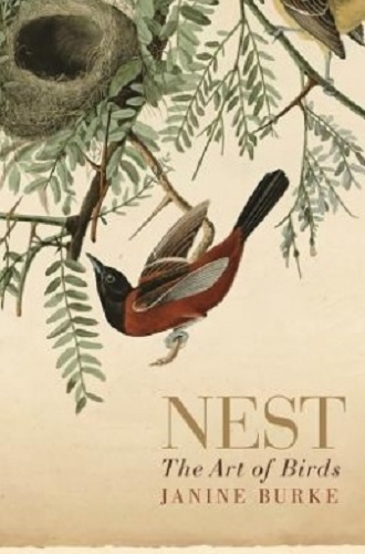 Nest The Art of Birds By Janine Burke
