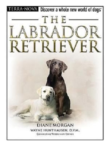 The Labrador Retriever by Diane Morgan With Dog Training DVD