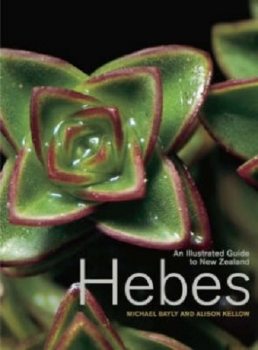 An Illustrated Guide to New Zealand Hebes