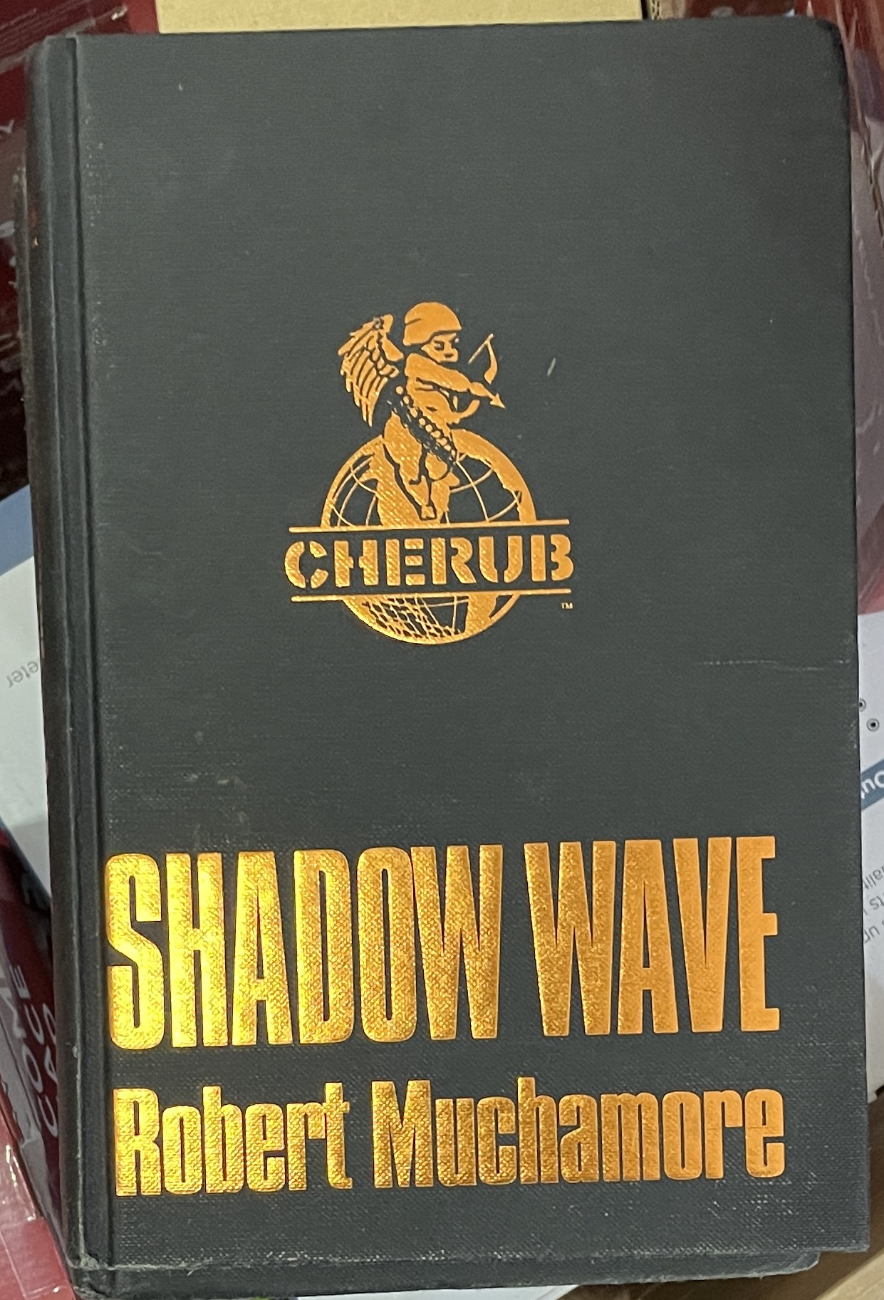 Shadow Wave by Robert Muchamore