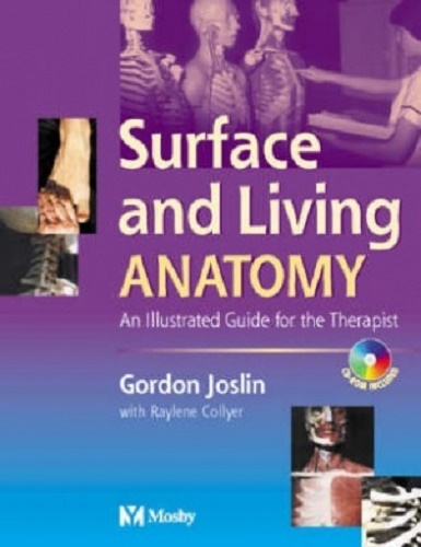 Surface and Living Anatomy with CD