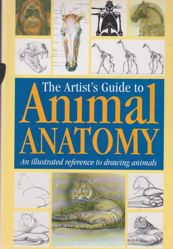 The Artists Guide to Animal Anatomy an Illustrated Reference to Drawing Animals
