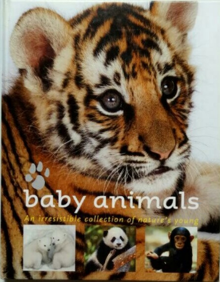 Baby Animals An Irresistible Collection of Nature's Young