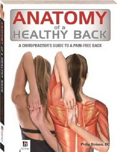 Anatomy of a Healthy Back by Philip Striano