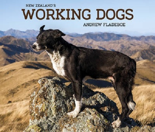 New Zealand's Working Dogs By Andrew Fladeboe