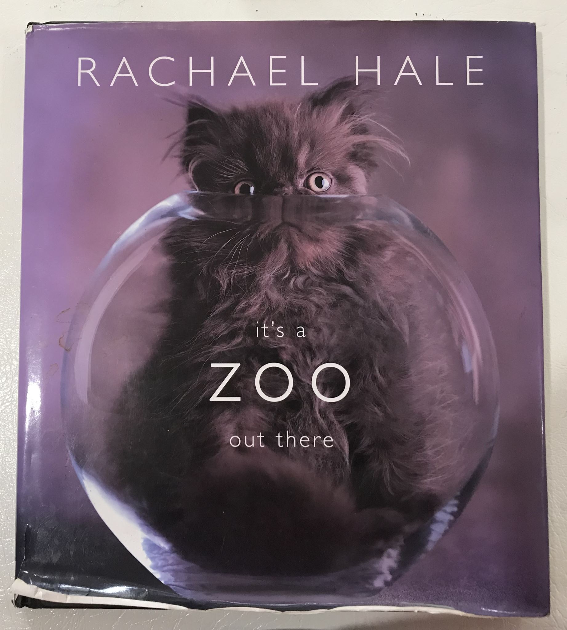 Rachael Hale It's a Zoo Out there