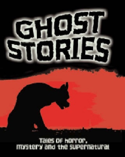 Ghost Stories Visual Factfinder Edited by Belinda Gallagher