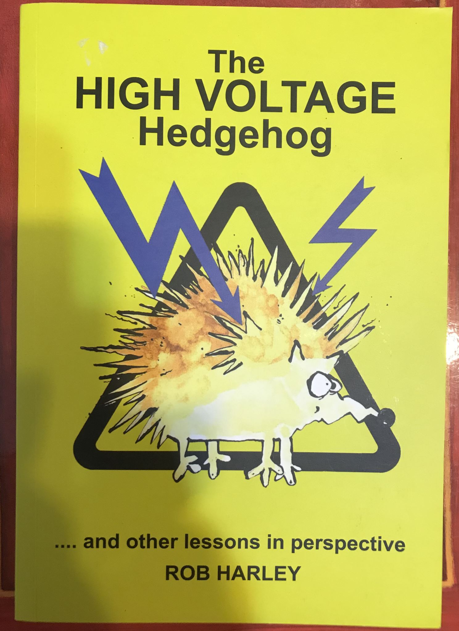 The High Voltage Hedgehog: . and Other Lessons in Perspective by Rob Harley