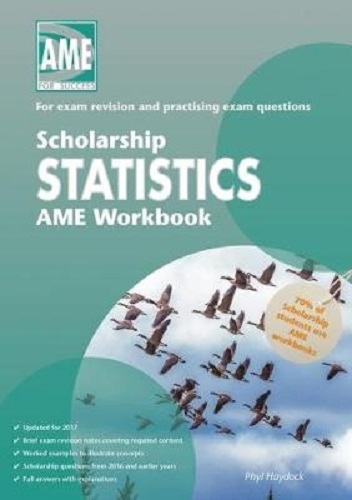 Ame Scholarship Statistics Workbook