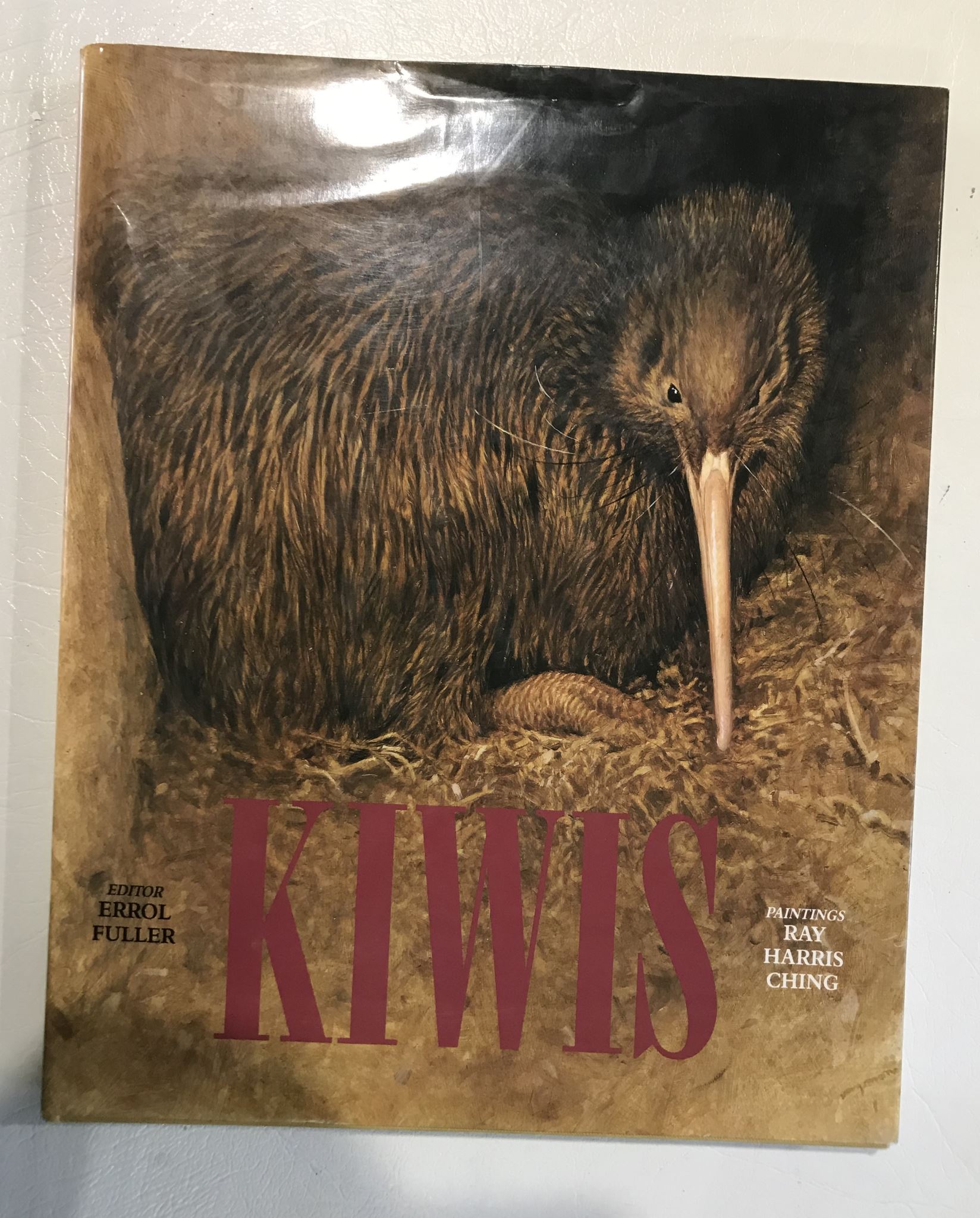 Kiwis Paintings by Ray Harris Ching