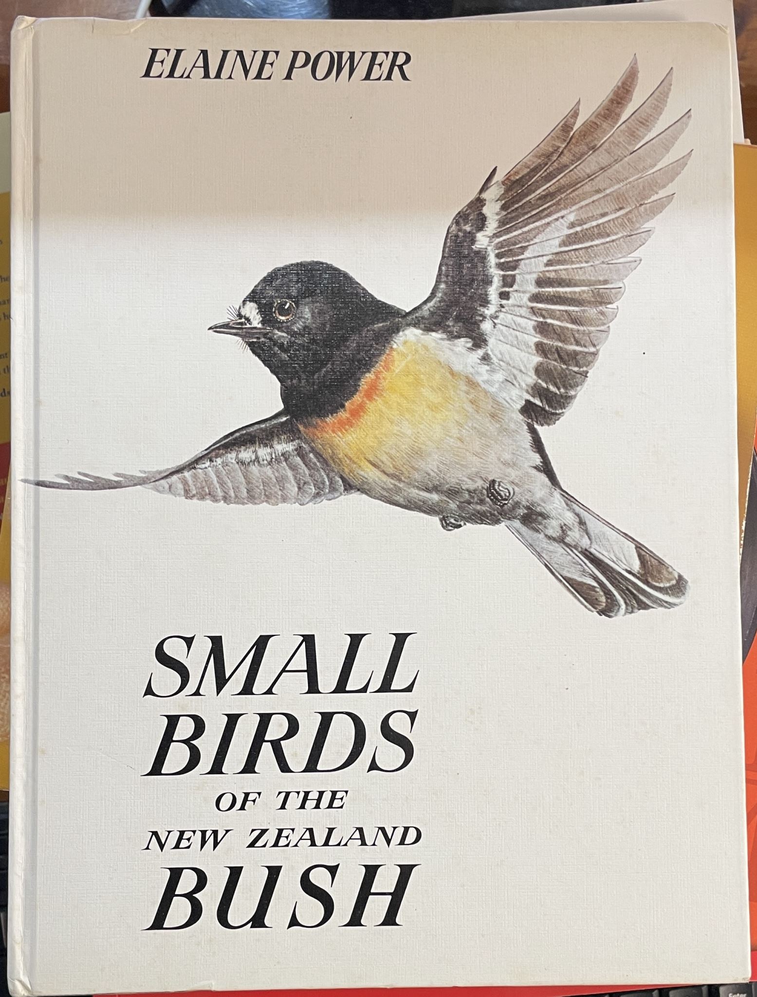 Small Birds of the New Zealand Bush by Elaine Power