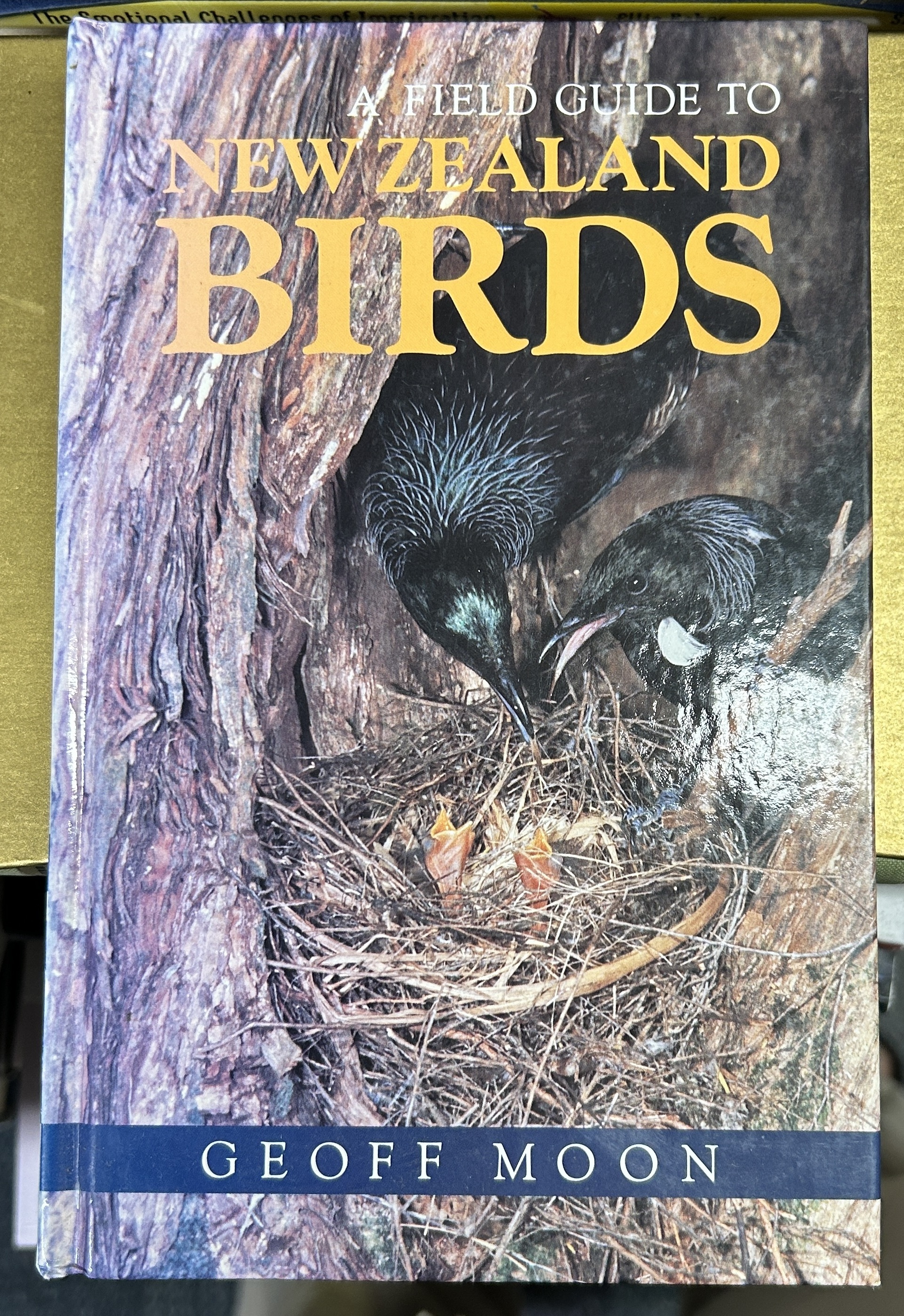 A Field Guide to New Zealand Birds