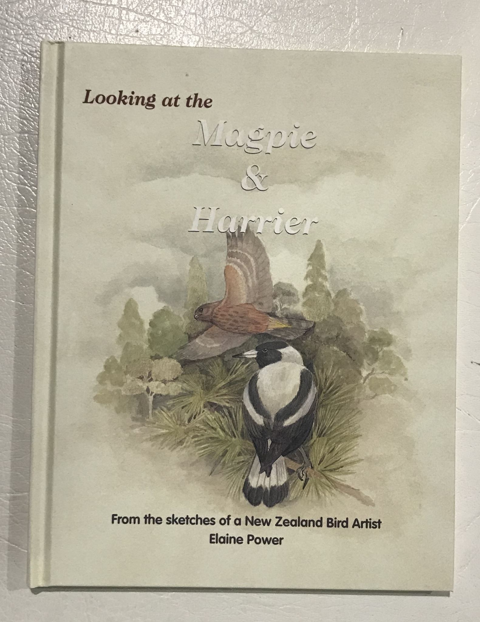 Looking at the Magpie and Harrier by Elaine Power