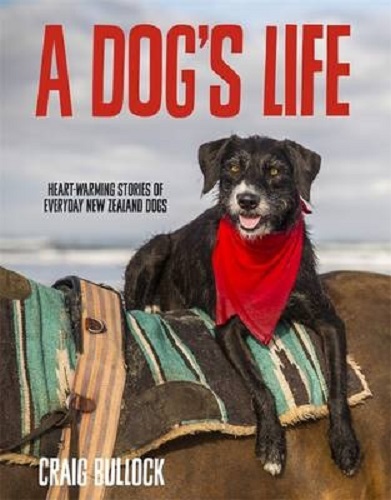 A Dog's Life Inspiration for Dog Lovers Everywhere