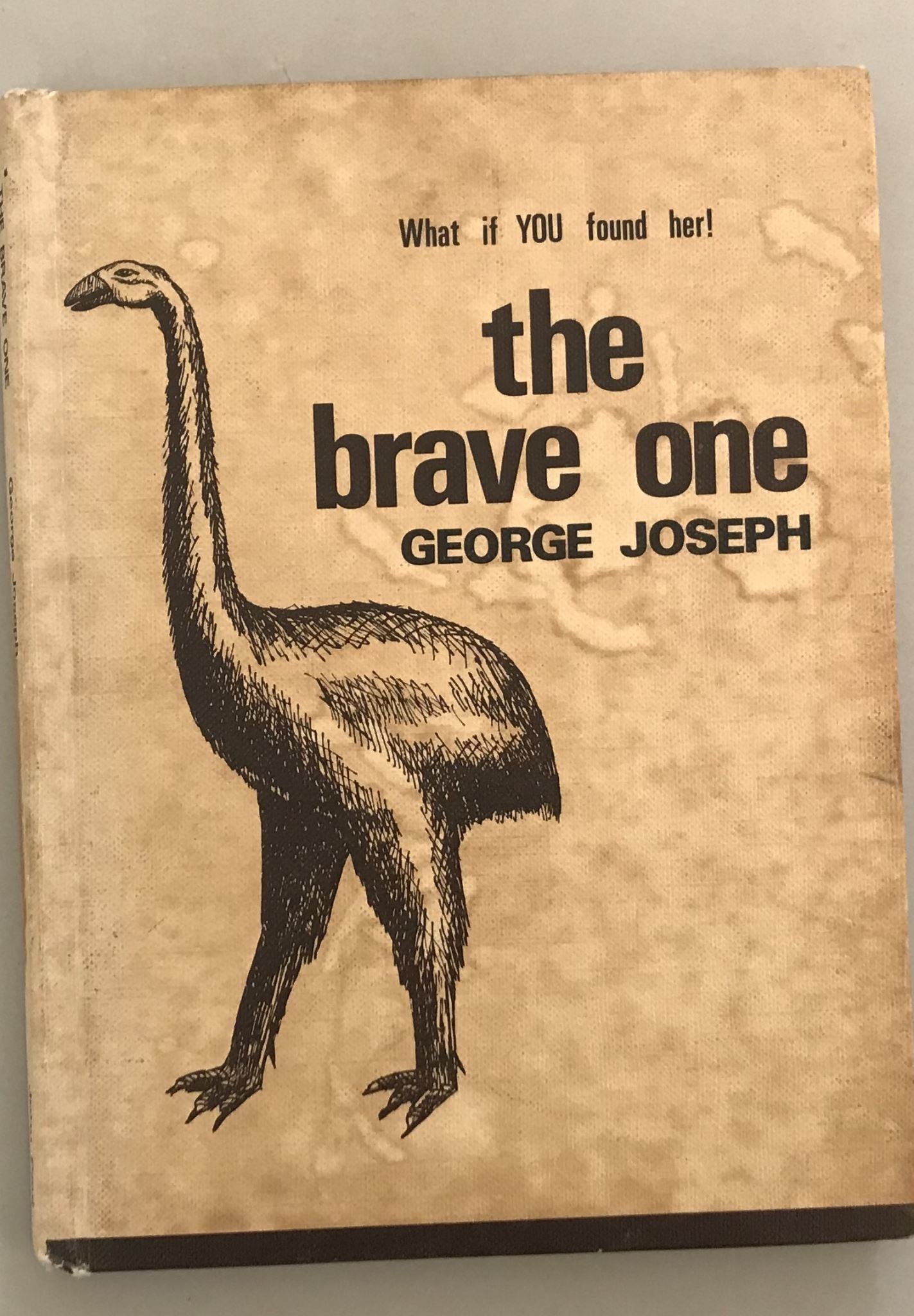 What If you found her The Brave One by George Joseph