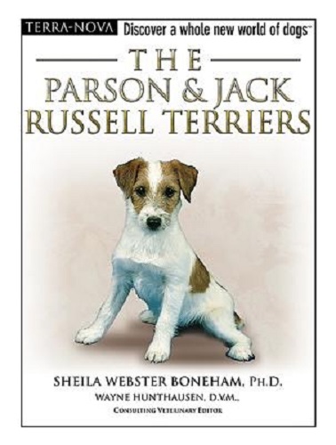 The Parson & Jack Russell Terriers