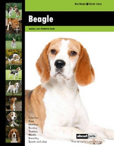 Beagle Manual and Reference Guide