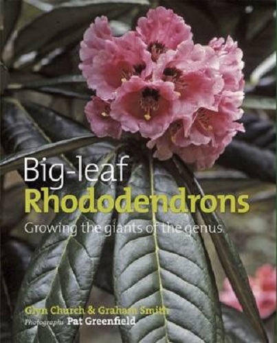 Big Leaf Rhododendrons Growing the Giants of the Genus