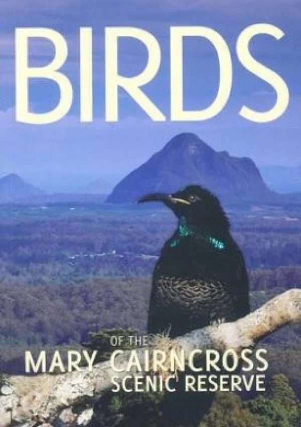 Birds of the Mary Cairncross Scenic Reserve