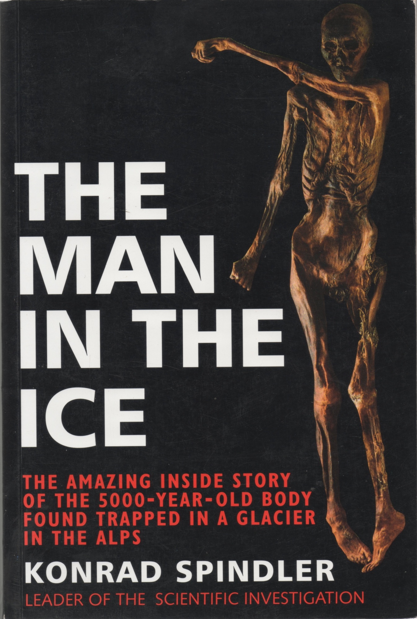 The Man in the Ice The Preserved Body of a Neolithic Man Reveals the Secrets