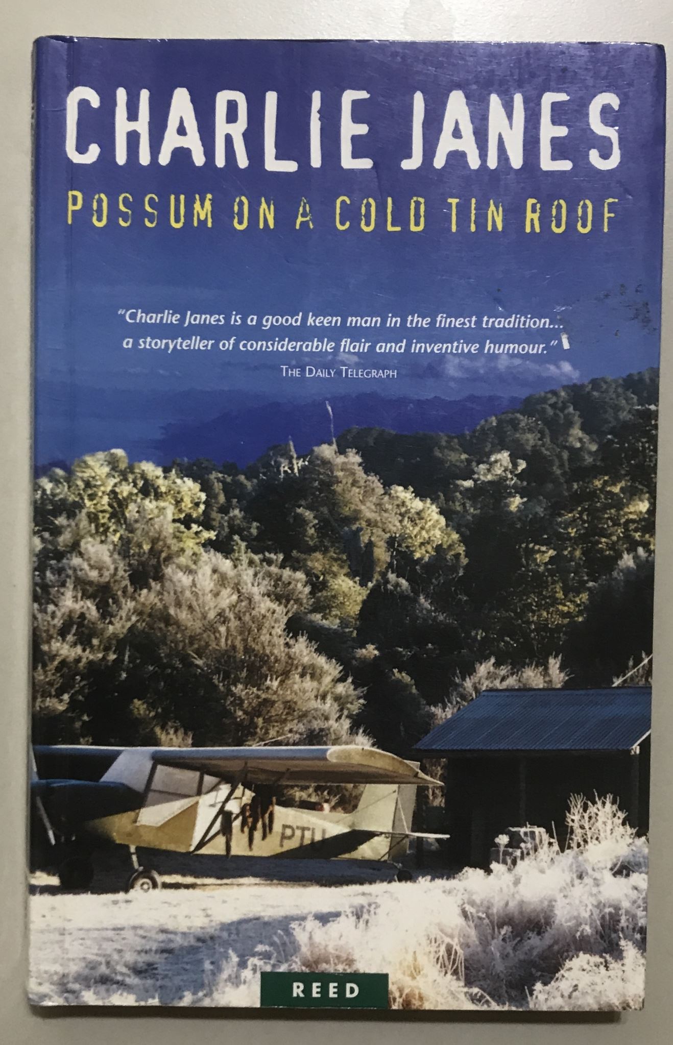 Possum on a Cold Tin Roof