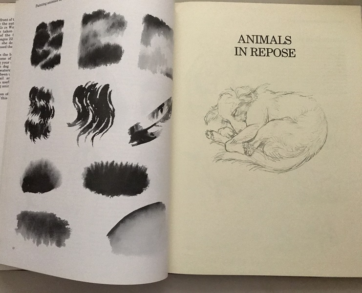 Painting animals in watercolour by Sally Michel