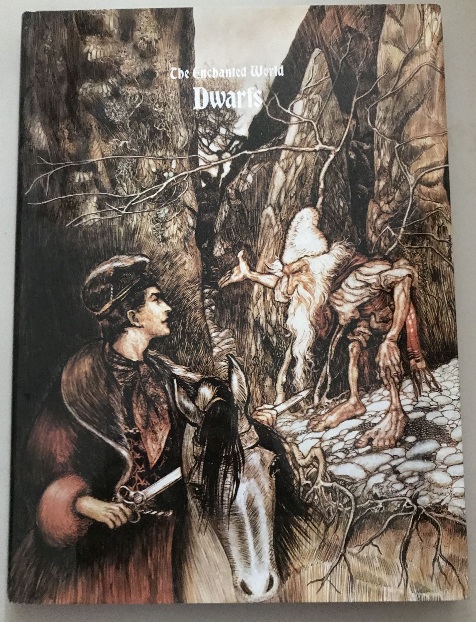 The Enchanted World Dwarfs