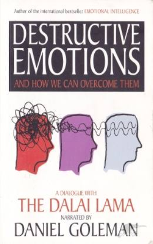 Destructive Emotions and How We Can Overcome Them: A Scientific Dialogue with the Dalai Lama