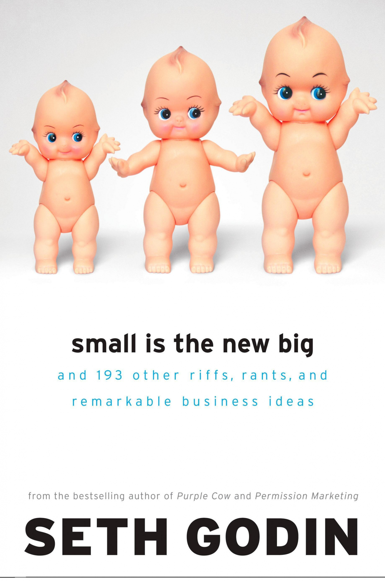 Small Is the New Big And 183 Other Riffs, Rants, and Remarkable Business Ideas
