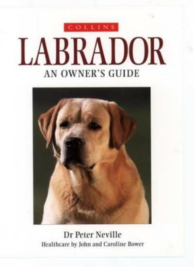 Collins Labrador An Owner's Guide by Peter Neville