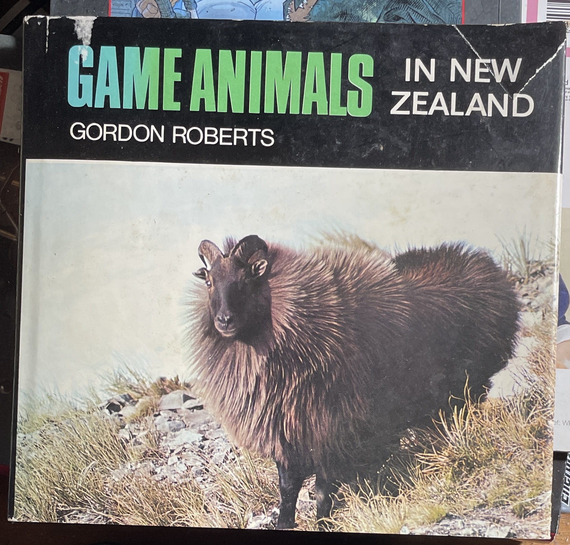 Game Animals of New Zealand by Gordon Roberts