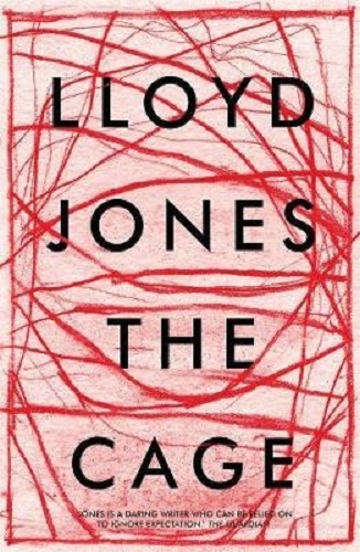 The Cage By Lloyd Jones