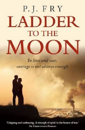 Ladder to the Moon By P.J. Fry