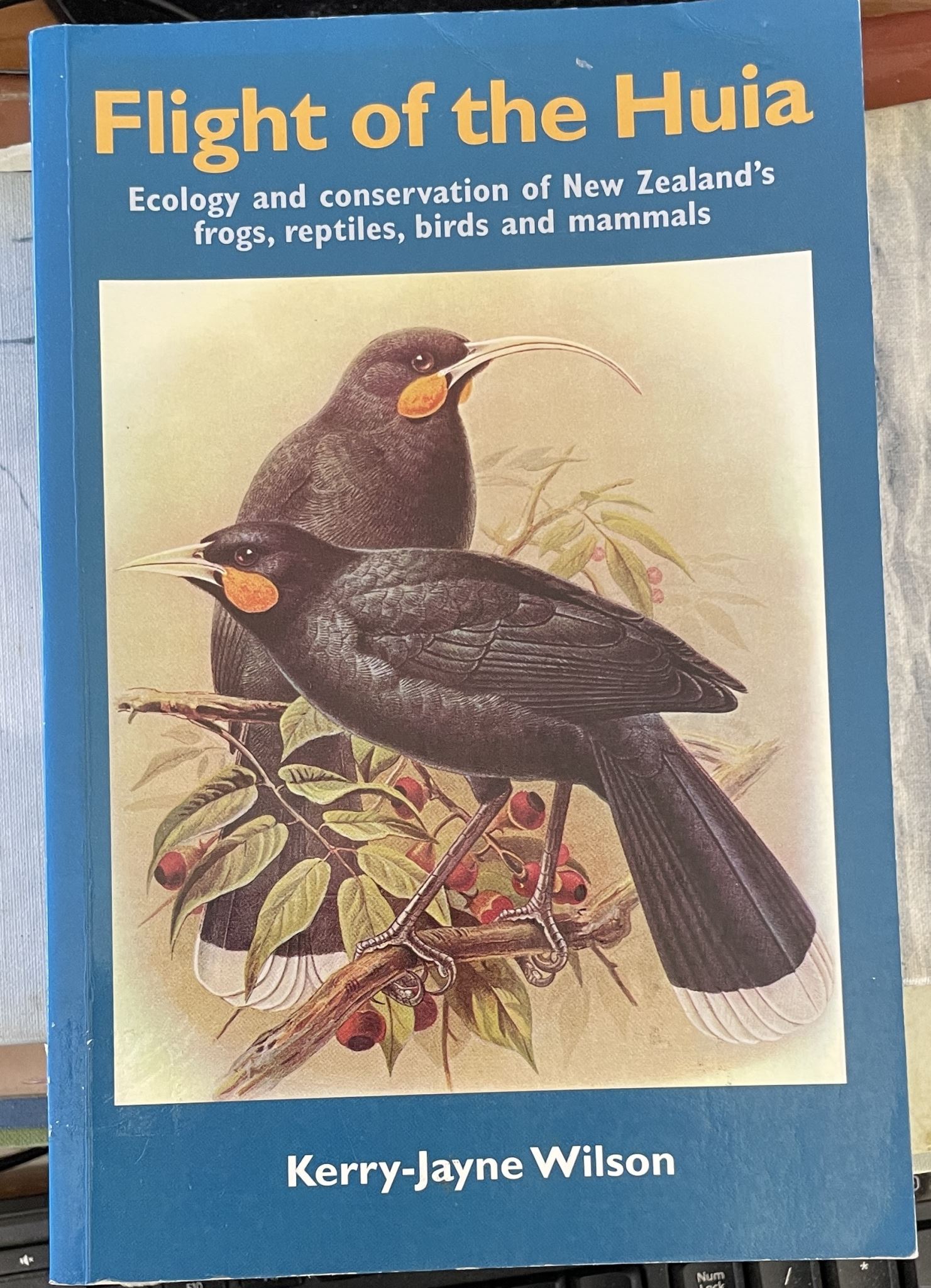 Flight of the Huia Ecology & Conservation of NZ's Frogs Reptiles Birds Mammals