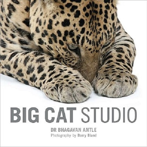 Big Cat Studio By Dr. Bhagavan Antle, Photographs by Barry Bland