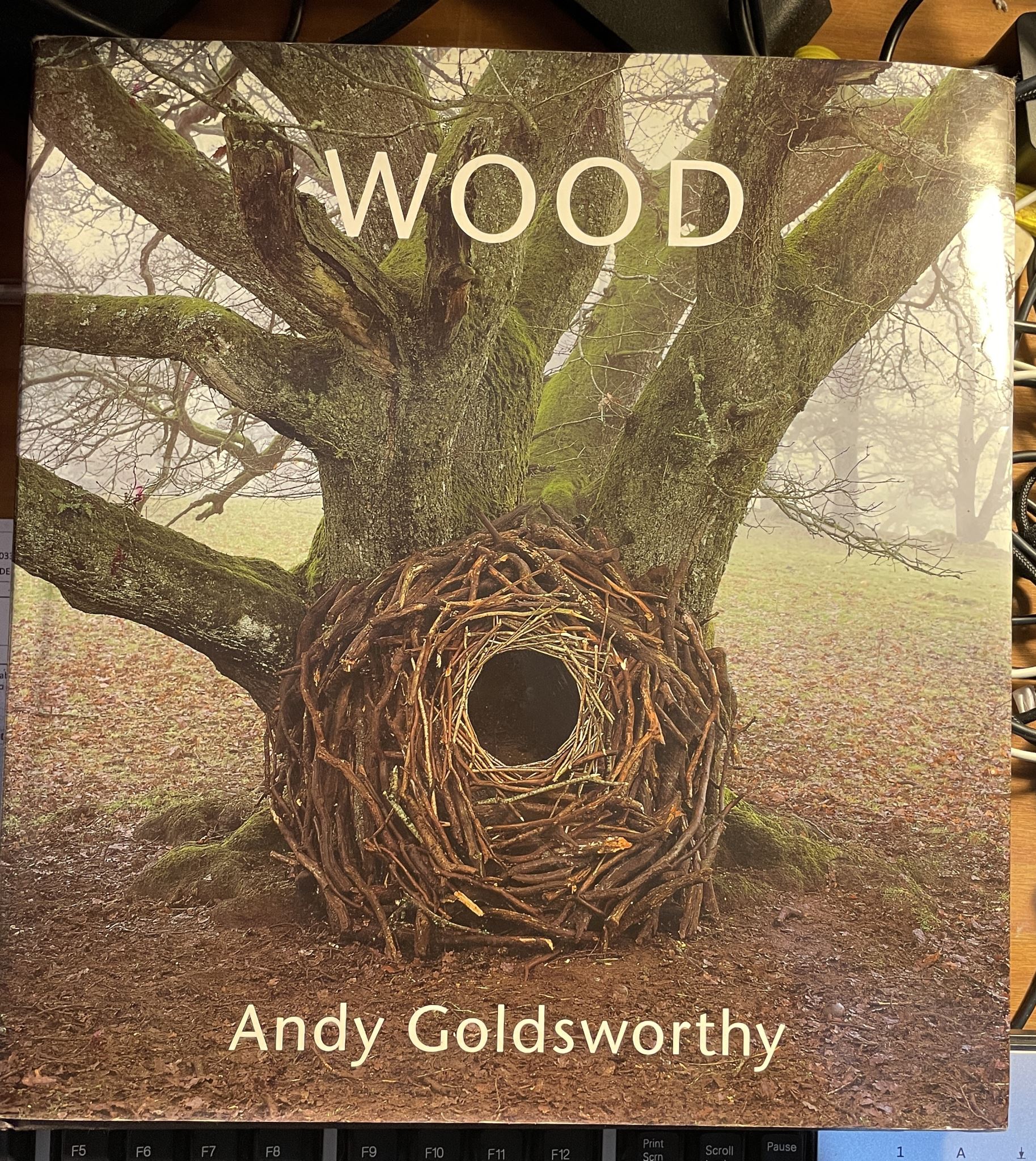 Wood By Andy Goldsworth