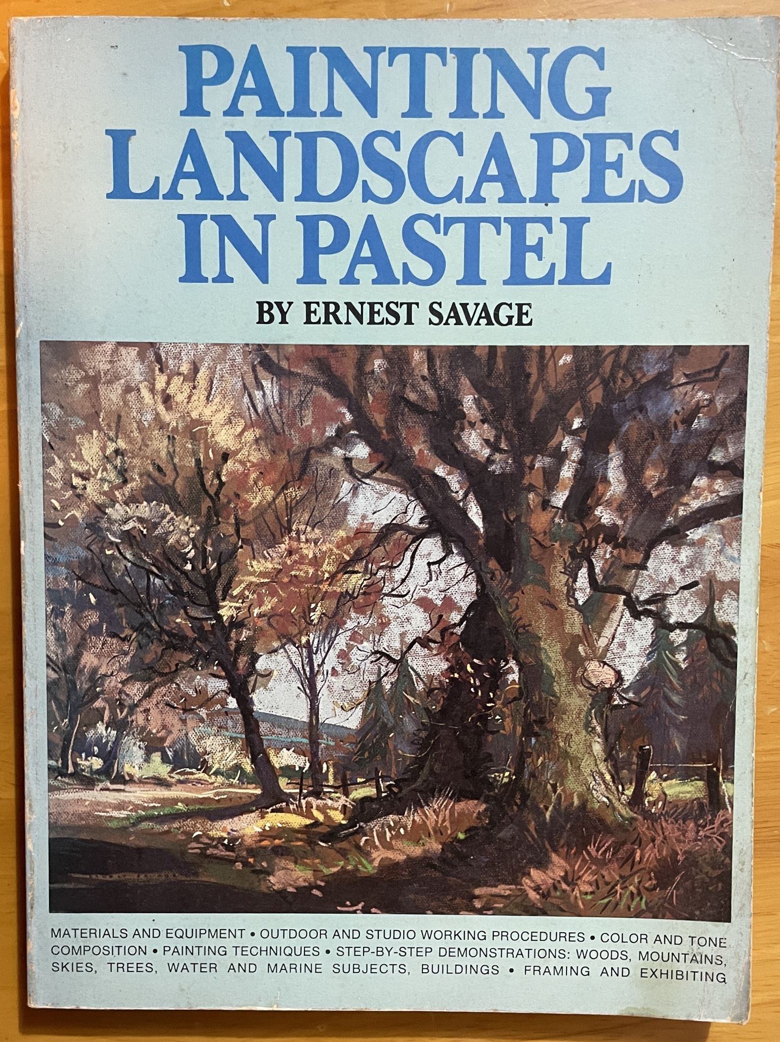 Painting Landscapes in Pastel by Ernest Savage
