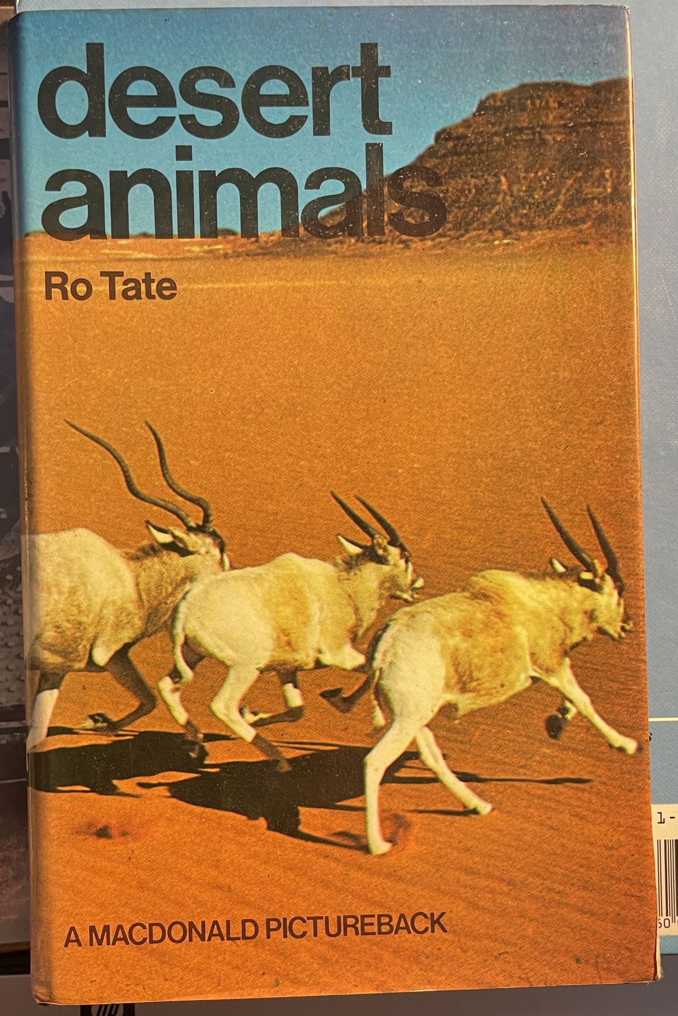 Desert Animals by Ro Tate (A Macdonald Pictureback)