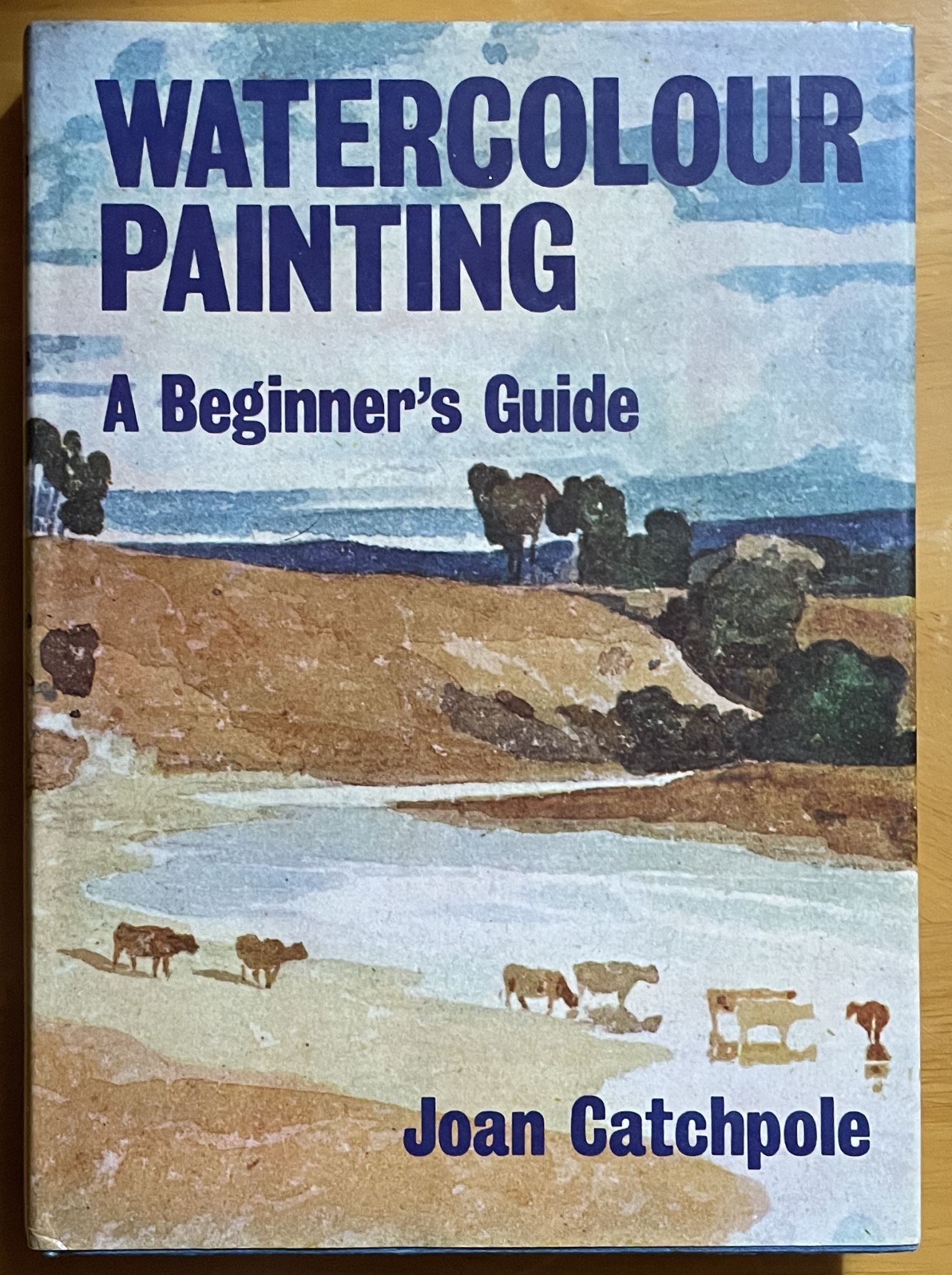 Watercolour Painting A Beginner's Guide by Joan Catchpole