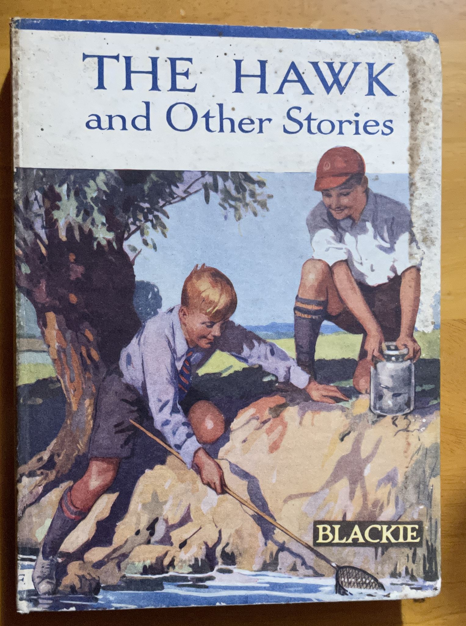 The Hawk and Other Stories