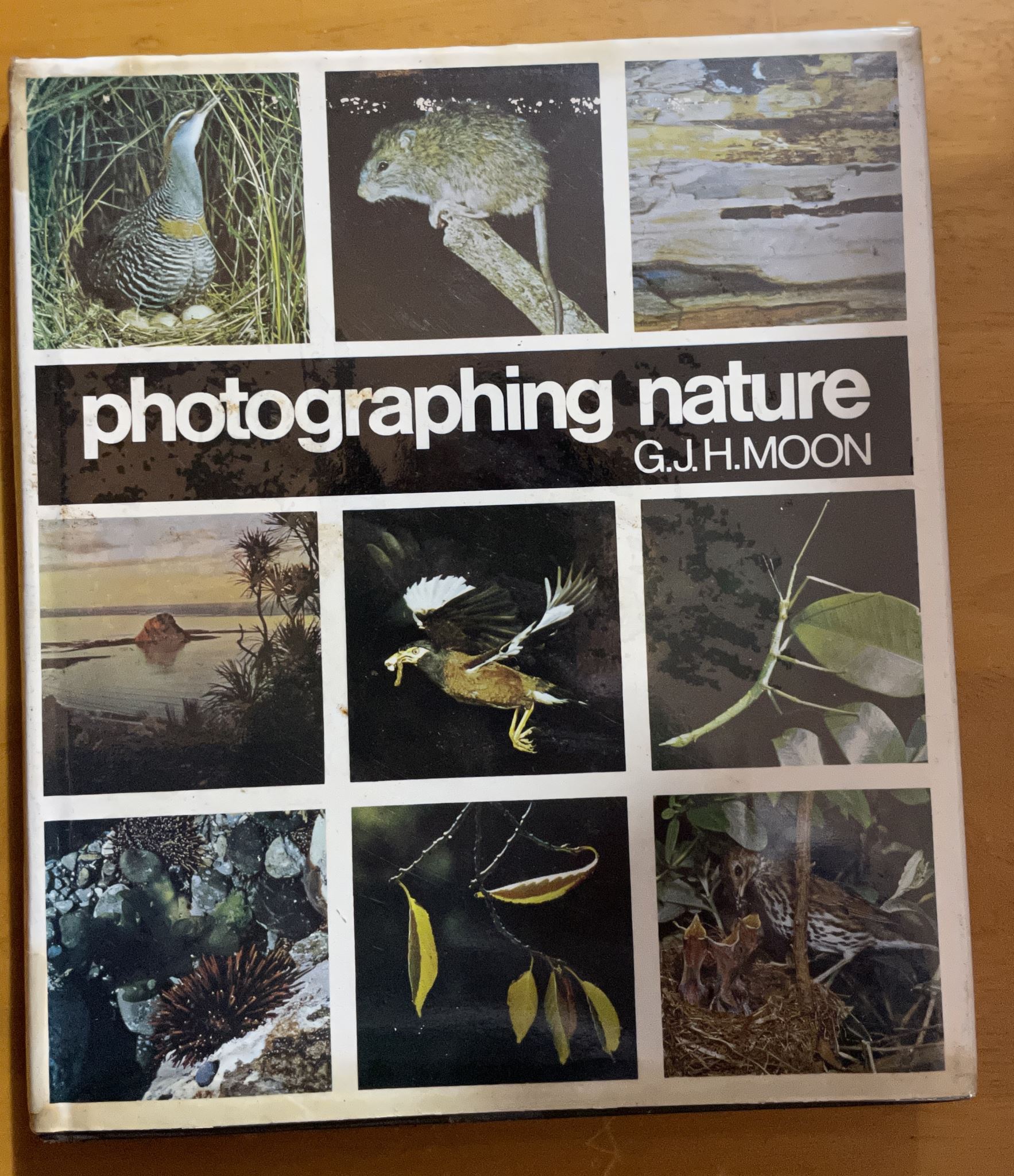 Photographing nature by G J Moon