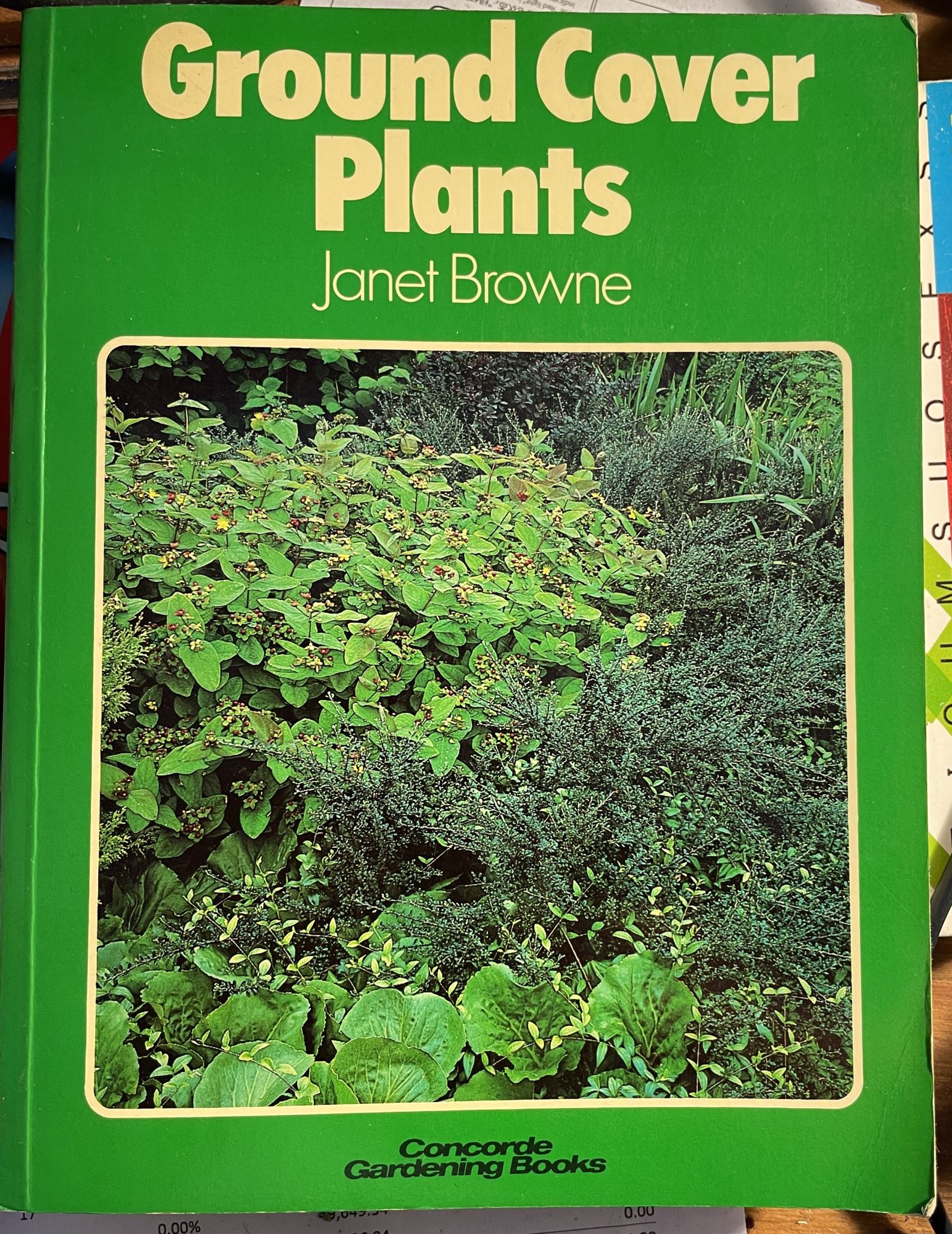 Ground Cover Plants by Janet Browne