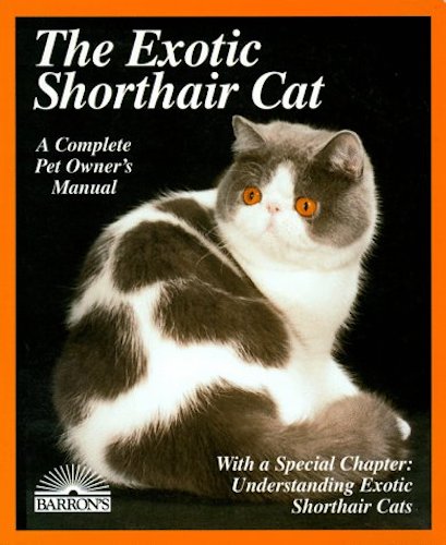 The Exotic Shorthair Cat by Karen Davis
