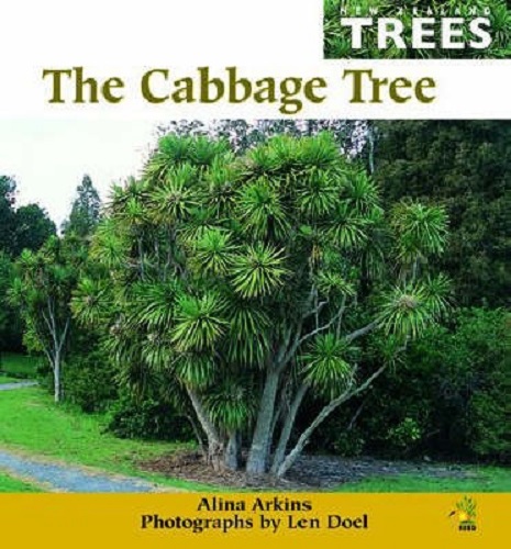 The Cabbage Tree New Zealand Trees by Alina Arkins