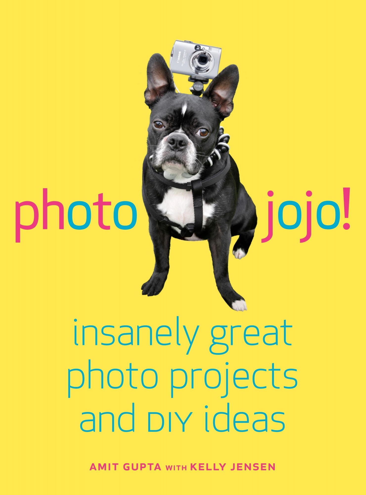 Photojojo! Insanely Great Photo Projects and DIY Ideas Amit Gupta, Kelly Jensen