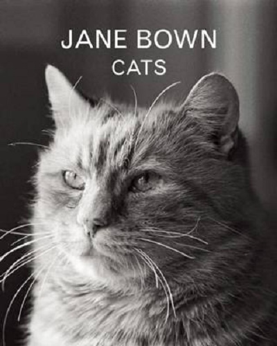 Jane Bown Cats