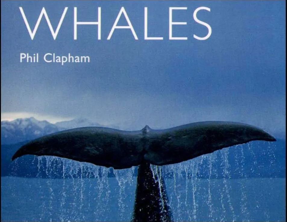 Worldlife Library Special Whales by Phil Clapham
